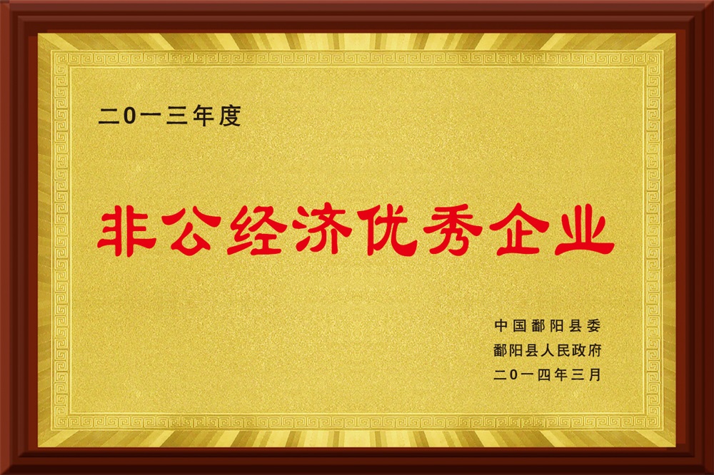 非公經濟優秀企業