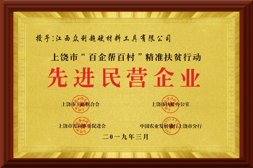 先進民營企業